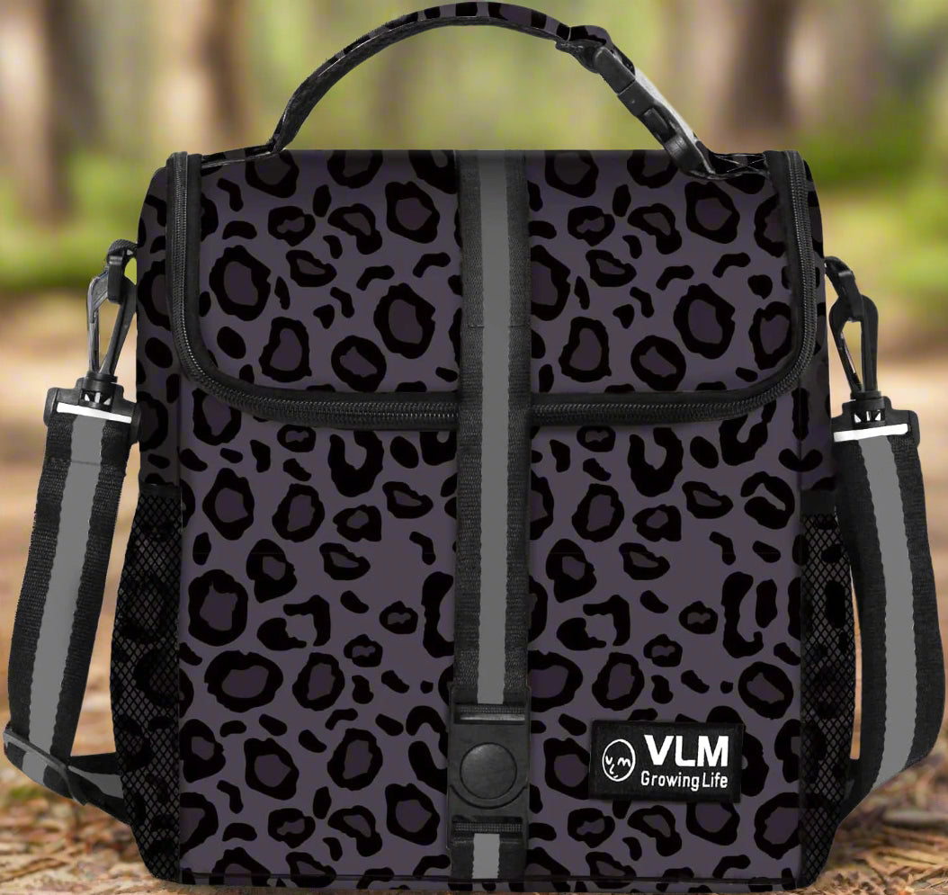 Insulated Lunch Bag/Backpack
